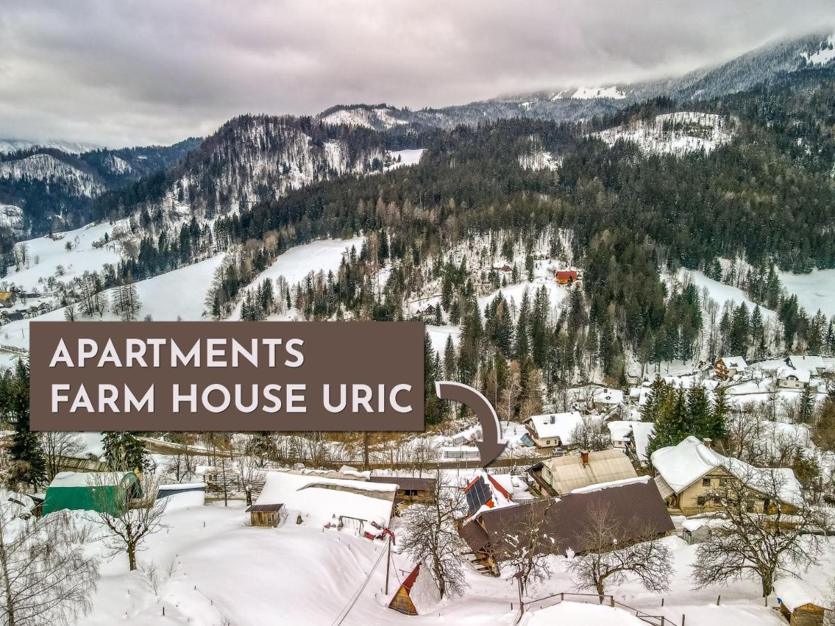Apartments Farm House Uric ゴレンスカ地方 エクステリア 写真