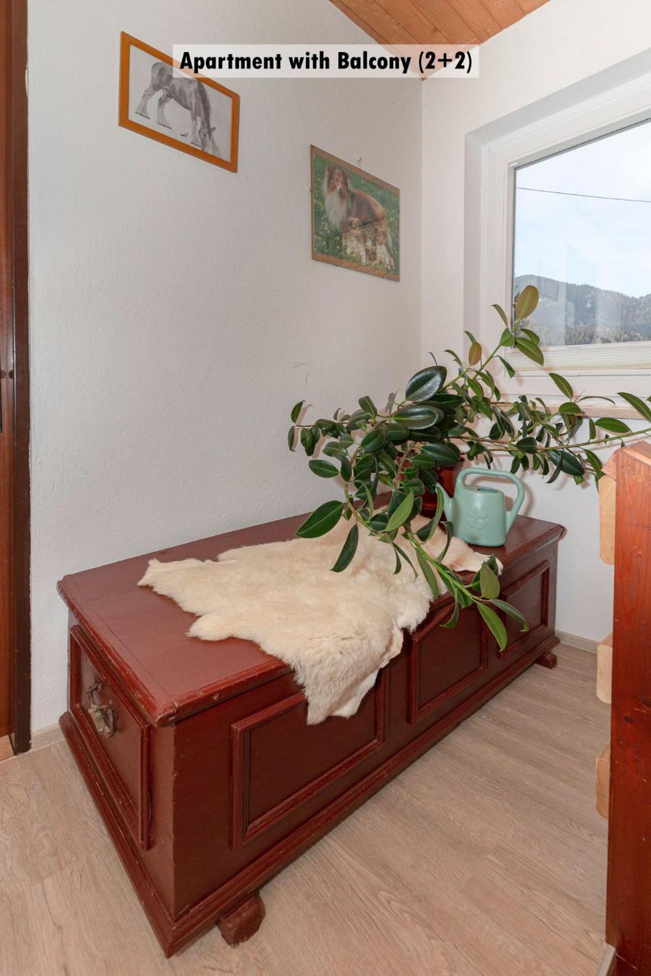 Apartments Farm House Uric ゴレンスカ地方 エクステリア 写真